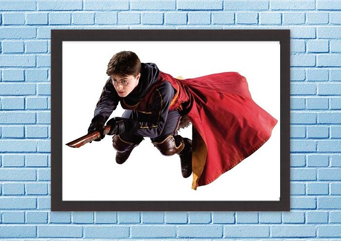 Framed Harry Potter